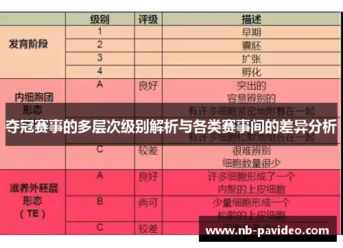 夺冠赛事的多层次级别解析与各类赛事间的差异分析