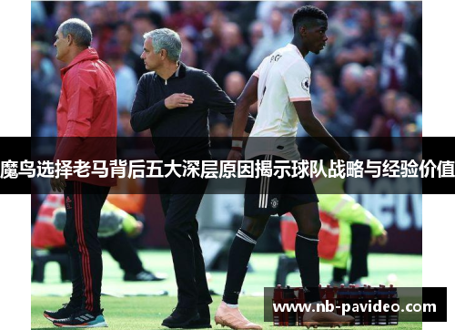 魔鸟选择老马背后五大深层原因揭示球队战略与经验价值