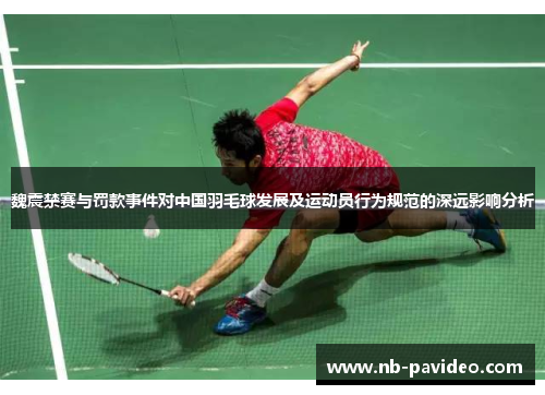 魏震禁赛与罚款事件对中国羽毛球发展及运动员行为规范的深远影响分析