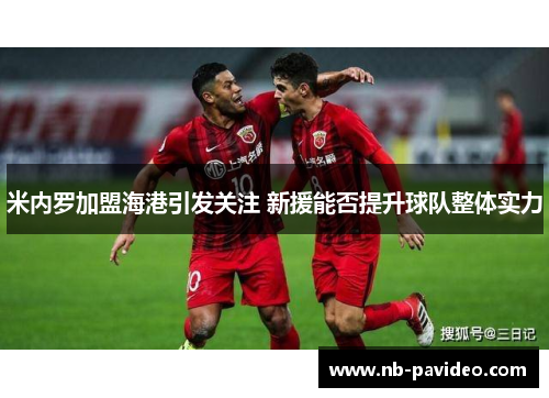 米内罗加盟海港引发关注 新援能否提升球队整体实力